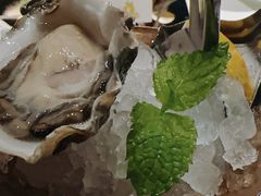 -Oyster Talks 四度蚝法餐厅