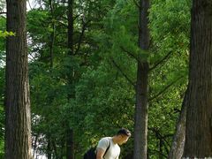 -常德桃花源景区