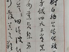 -淮国旧H22·中古店