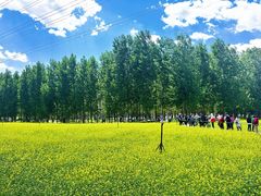 -长白岛森林公园