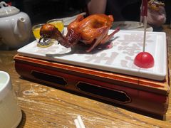 -大鸽饭(体育西路店)