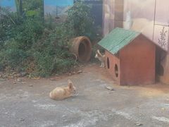 -昆明动物园