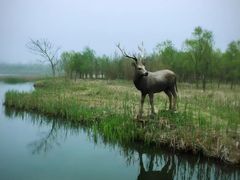 -溱湖国家湿地公园