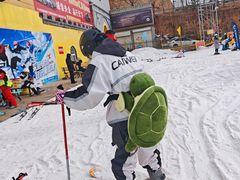 -采薇庄园四季滑雪场