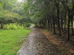 -蜀冈西峰生态公园