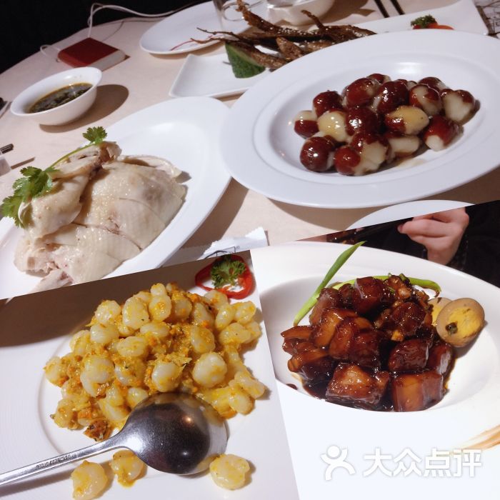 圆苑(兴国路店)的全部点评-上海-大众点评网