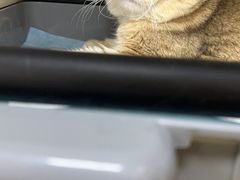 -北京佳信宠物医院