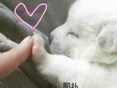 -海马体照相馆(成都来福士广场店)