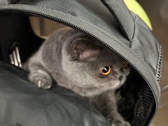 -达爱动物医院·犬猫分区·CT·复杂眼科(远洋山水分院)