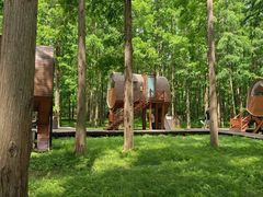 -黄海国家森林公园