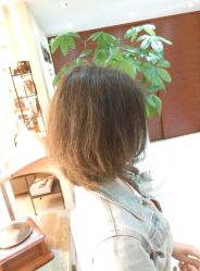 -ＤＯＭＯプロの美容サロン