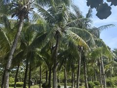 -三亚西岛海洋文化旅游区