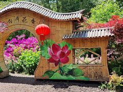 -嘉定紫藤园