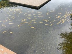 -青龙渔业旅游景区