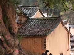 -杨家堂村