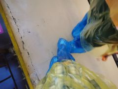 -蓬莱欧乐堡梦幻世界