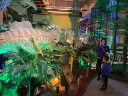 -恐龙探索乐园(磁器口店)