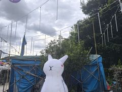 -大澳