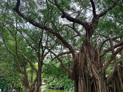 -人民公园(罗湖区)