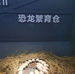 -恐龙探索乐园(磁器口店)