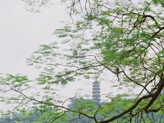 -南沙蒲洲花园