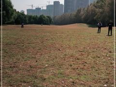 -长白岛森林公园