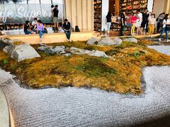 门面-Seesaw Coffee(朝阳大悦城店)