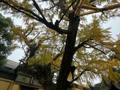 -无锡惠山寺