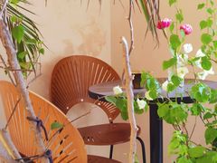 -HUATA 'Holiday Plan 花榻