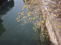 -丝绸小镇荻港古村