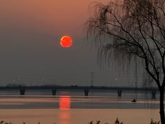 -漕湖湿地公园