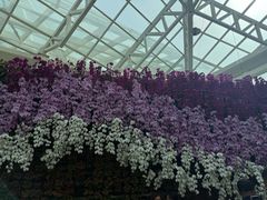 -石家庄市植物园