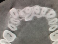 -上海市徐汇区口腔医院