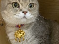 -南京商厦
