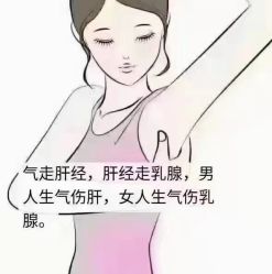-香薇妮丝·定制减肥·身材管理