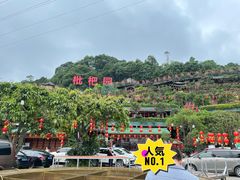 -枇杷园食为鲜火锅(南山店)