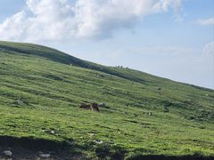 -灵山