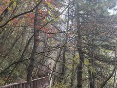 -塔云山