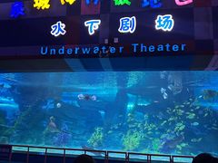 -泉城欧乐堡海洋极地世界