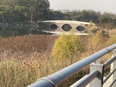 -大兴滨河森林公园