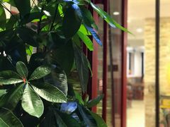大堂-捷信牛奶甜品世家(五道口店)