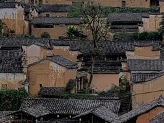 -杨家堂村