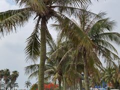 -霞山观海长廊