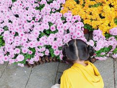 -汇龙潭