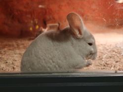 -酷嗒动物文化乐园(cutezoo西溪乐天城店)