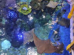 -成都浩海立方海洋公园