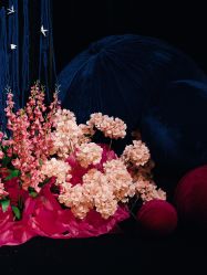 -南昌喜来登酒店·宴会厅