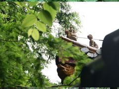 -天目山大树王景区