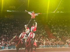 -俄罗斯国家大马戏团