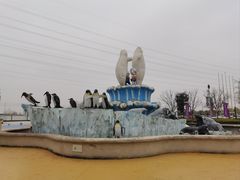-芜湖新华联大白鲸海洋公园